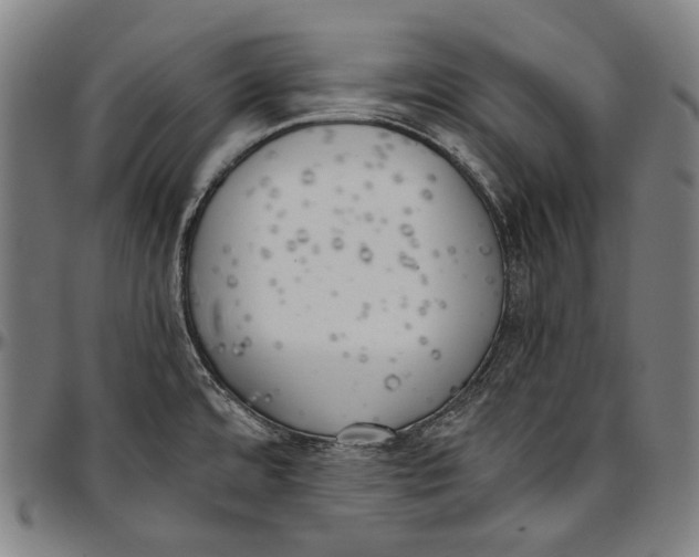 X0000096961480200802291109