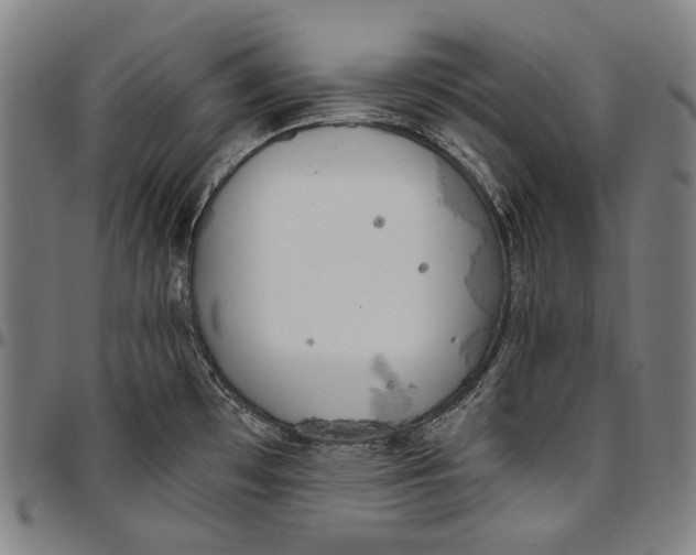 X0000096961481200802291109