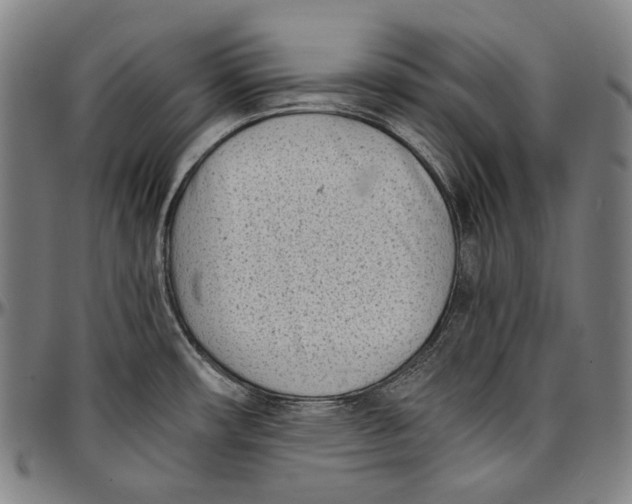 X0000096961482200802291109