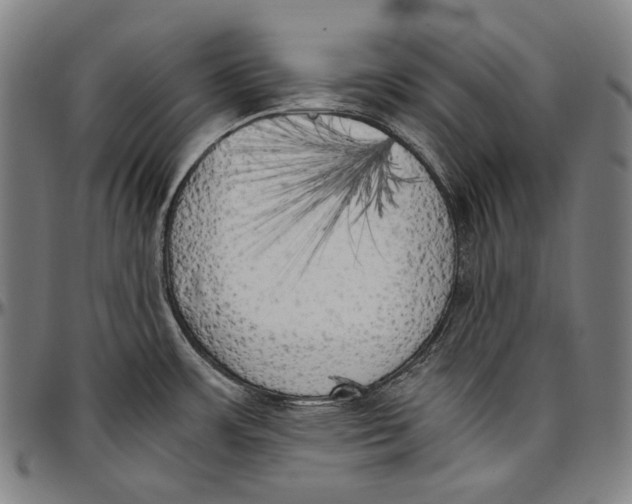 X0000096961483200802291109