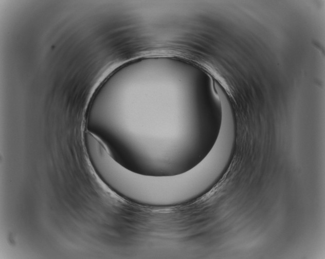 X0000096961484200802291109