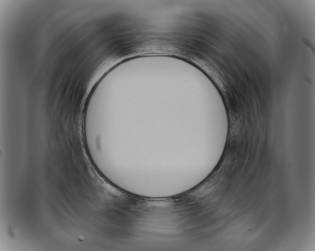 X0000096961486200802291109