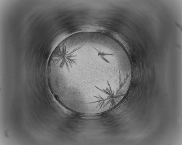 X0000096961487200802291109