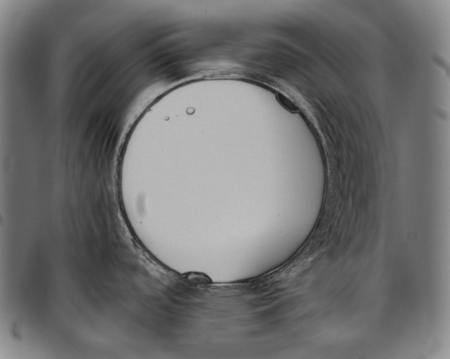 X0000096961488200802291109