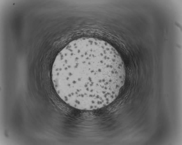 X0000096961489200802291108