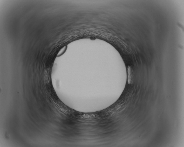 X0000096961491200802291108