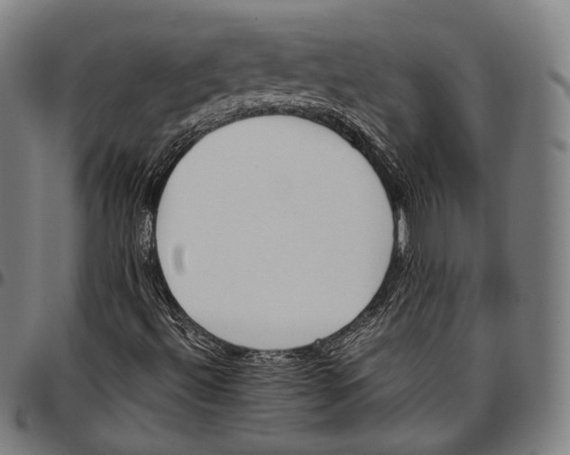 X0000096961492200802291108