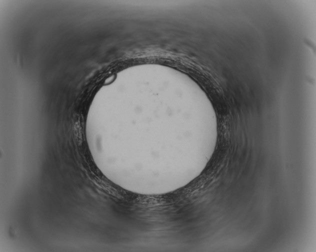 X0000096961493200802291108