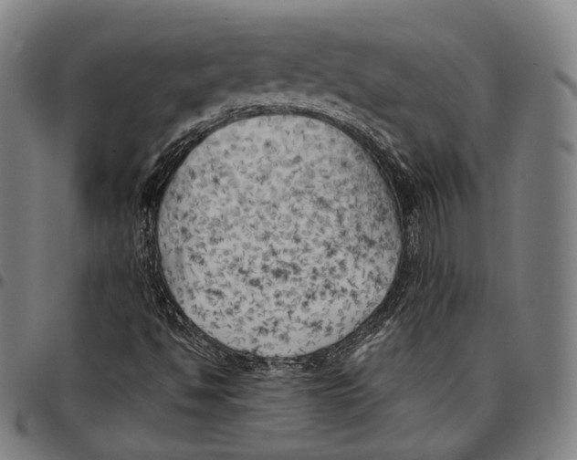 X0000096961494200802291108