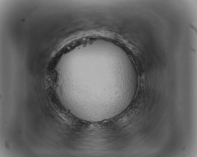 X0000096961496200802291108