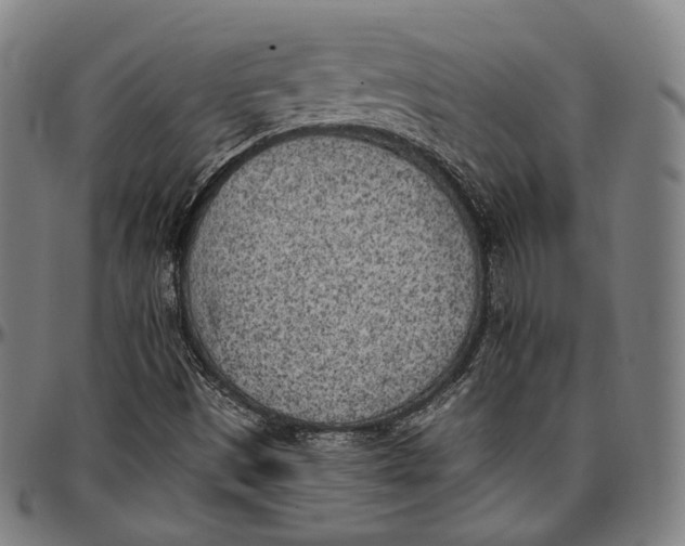 X0000096961497200802291108