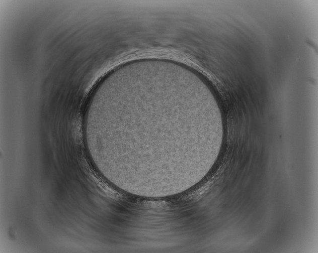 X0000096961498200802291108