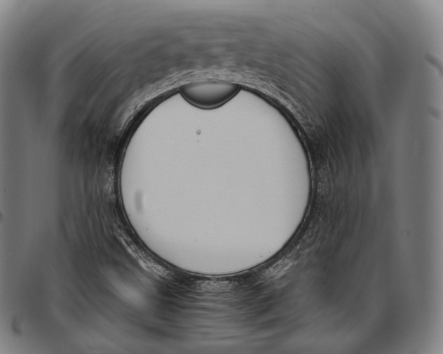 X0000096961499200802291108