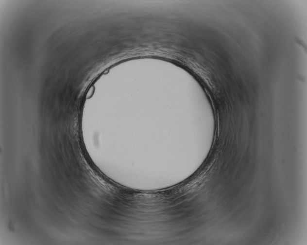 X0000096961500200802291108