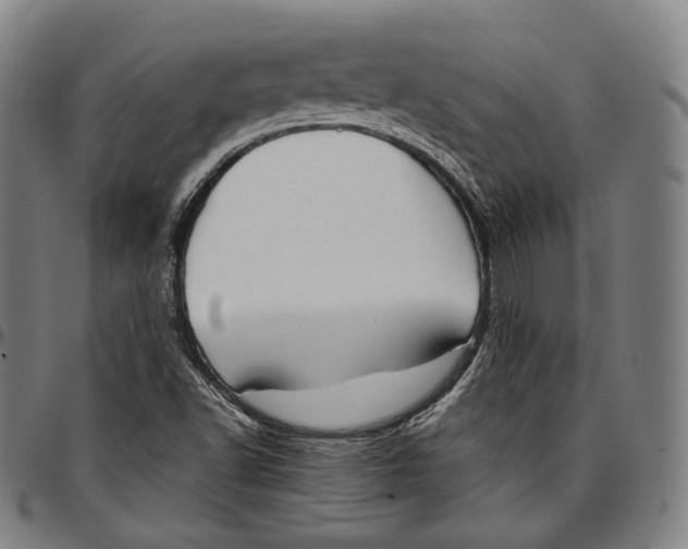 X0000096961502200802291108