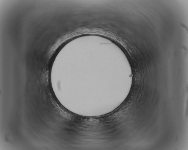 X0000096961503200802291108