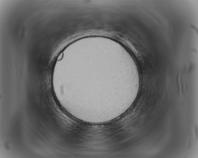 X0000096961504200802291108