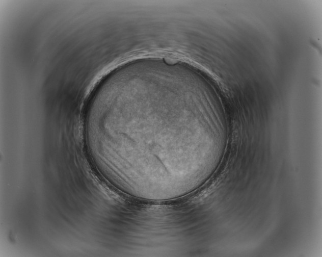 X0000096961506200802291108