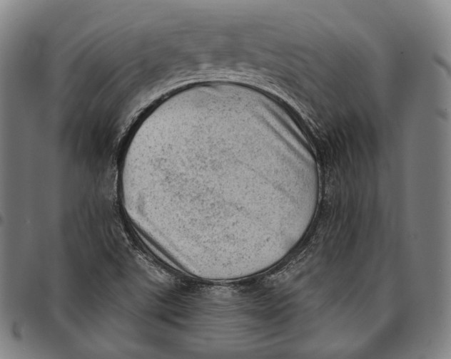 X0000096961507200802291108