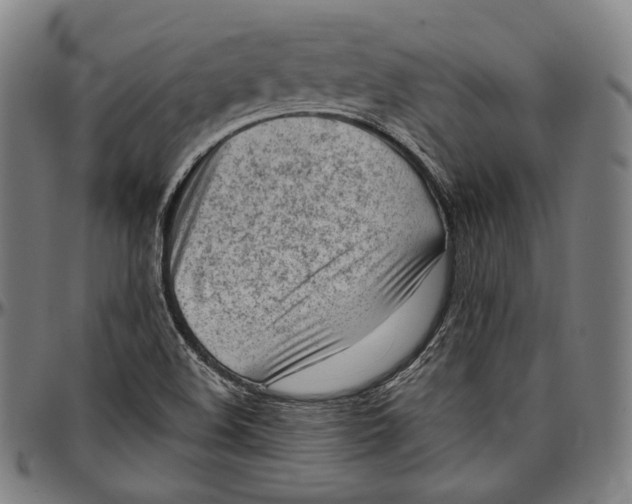 X0000096961508200802291108