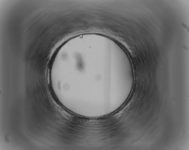 X0000096961510200802291108