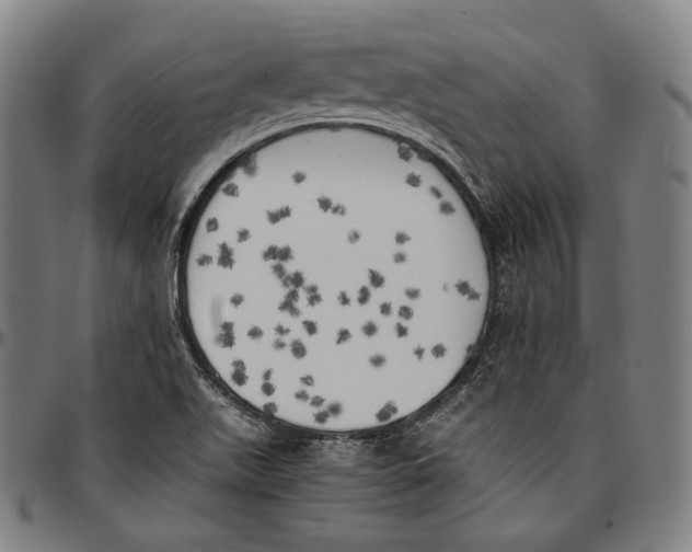 X0000096961511200802291108