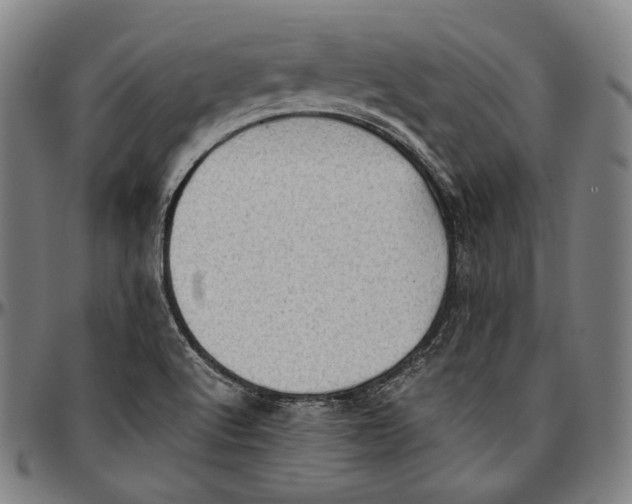 X0000096961512200802291108