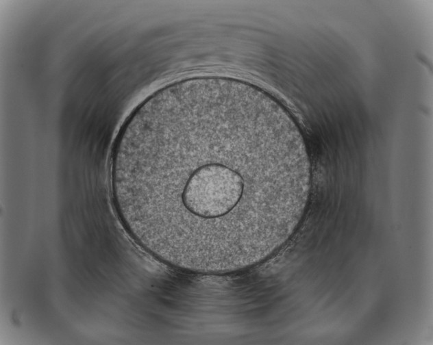 X0000096961514200802291108