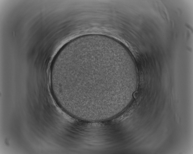 X0000096961515200802291108