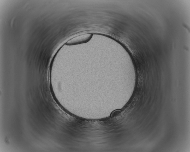 X0000096961516200802291108