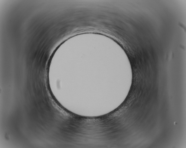 X0000096961518200802291108