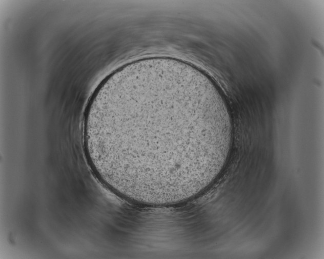 X0000096961519200802291108