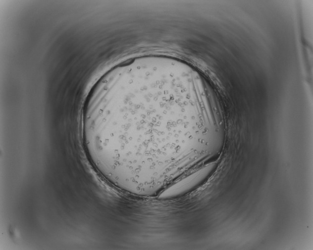 X0000096961520200802291108