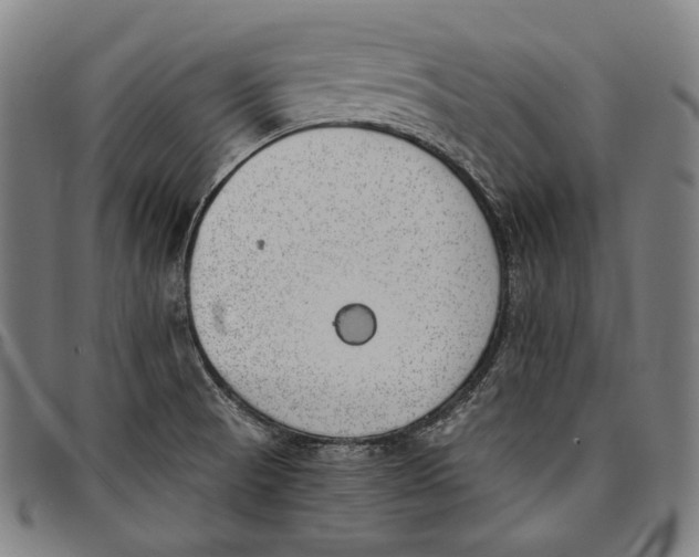 X0000096961521200802291108