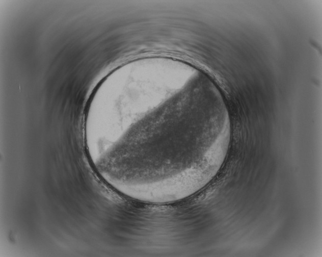 X0000096961522200802291108