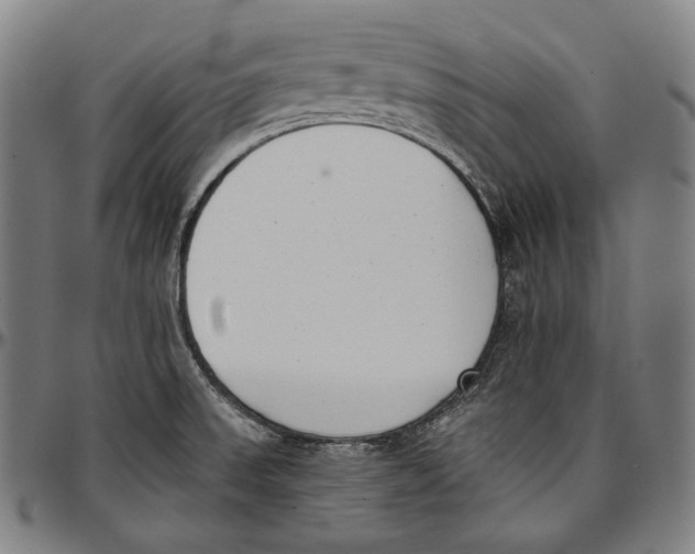 X0000096961523200802291108