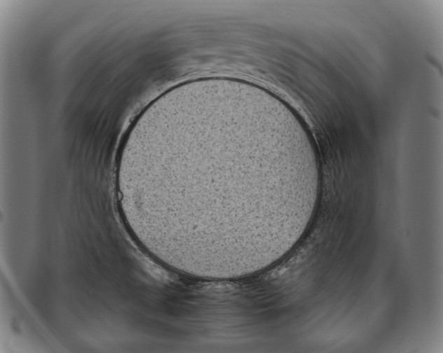 X0000096961525200802291108