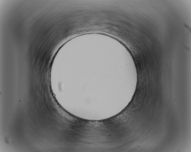 X0000096961526200802291108