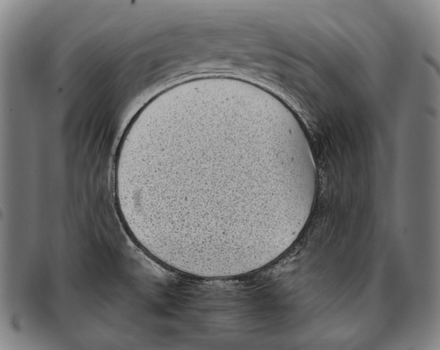 X0000096961527200802291108