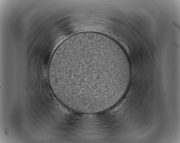 X0000096961529200802291108