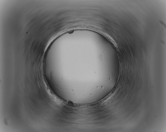 X0000096961530200802291108