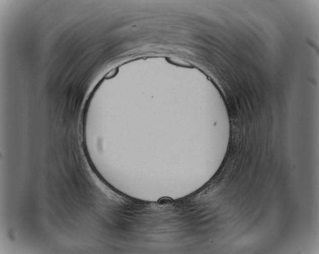 X0000096961531200802291108