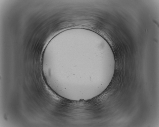 X0000096961532200802291109