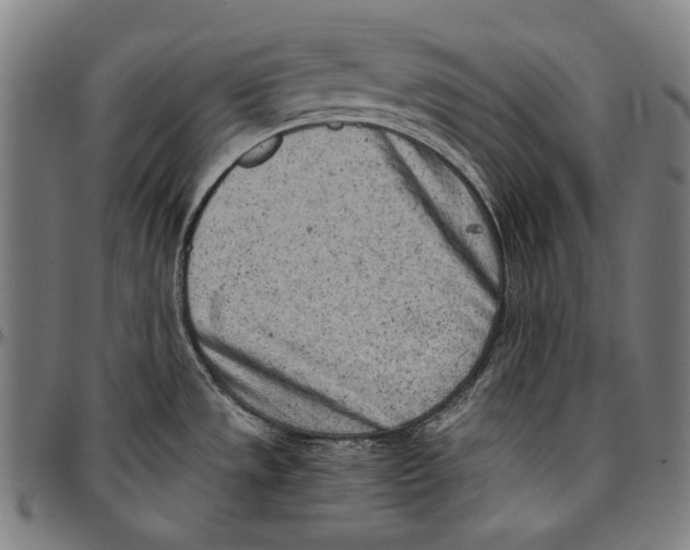 X0000096961533200802291109