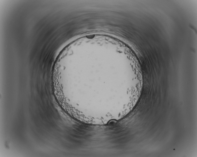 X0000096961534200802291109