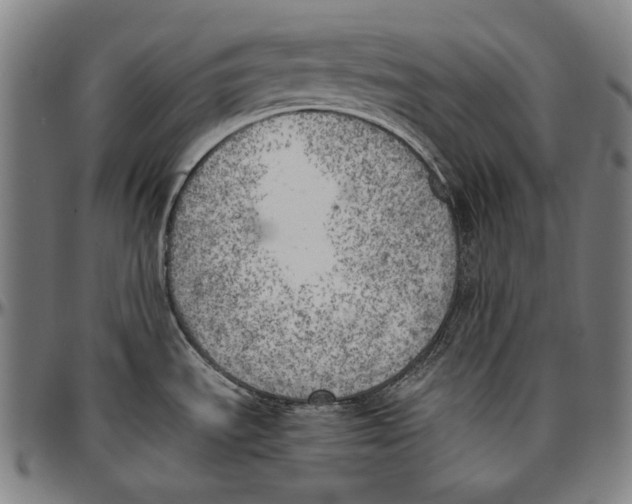 X0000096961535200802291109