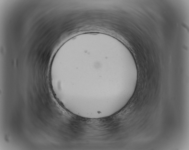 X0000096961536200802291109