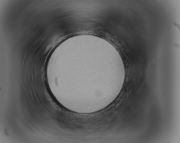 X0000096960002200803071101