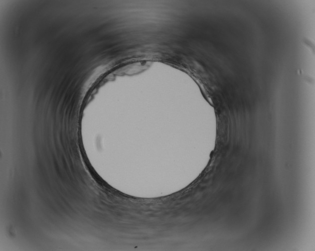 X0000096960003200803071101