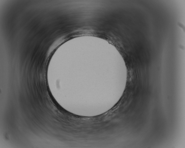 X0000096960004200803071101